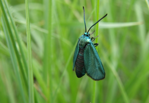 P5011438