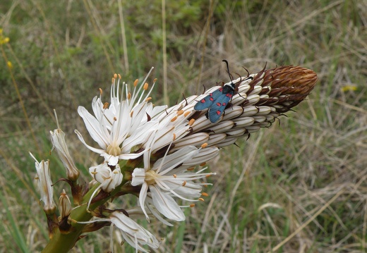 P5051013