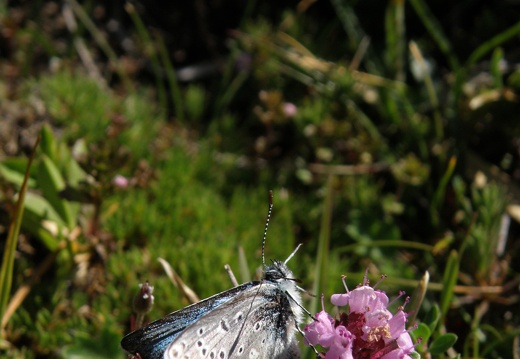P8030605