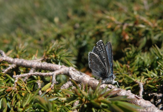 P8030609