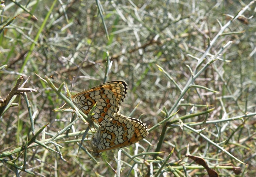 P8080641
