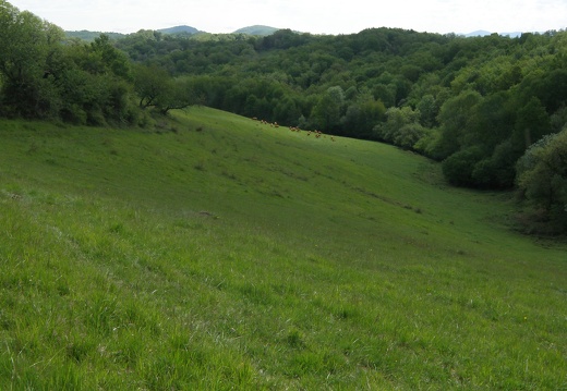 P5041004