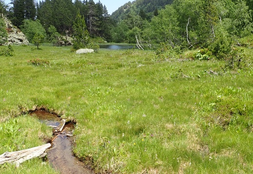 P7042577
