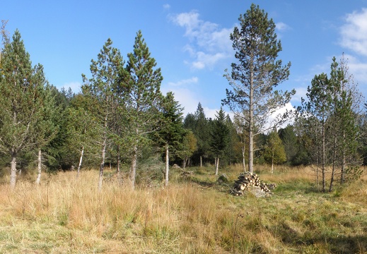 Panorama sans titre6