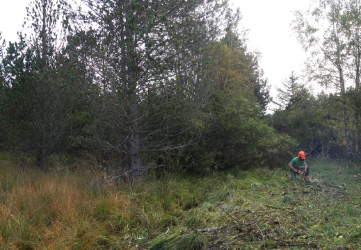 Panorama sans titre12