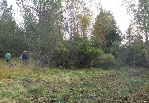 Panorama sans titre13