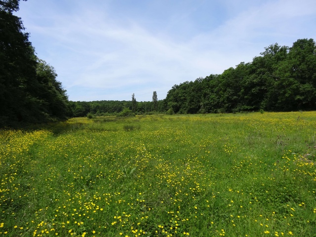 Prairie Pesquie-1(c)Cecile